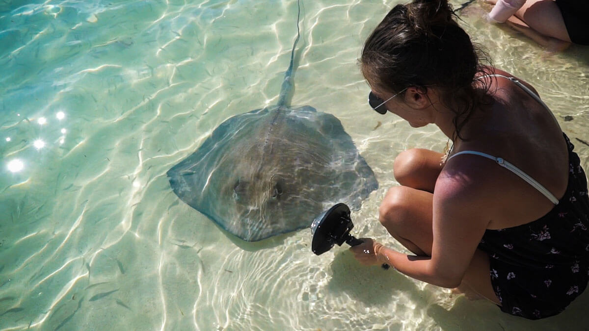 Chat N Chill Stingray Things to do in Exuma